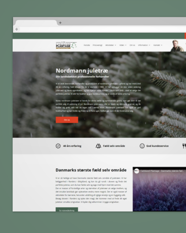 Nordmanntree: Ikke kun juletræerne sikres - men hele universet omkring jul